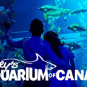Ripley’s Aquarium